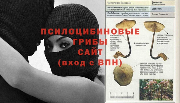стафф Балахна