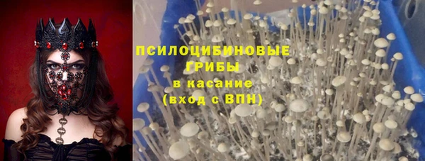 винт Баксан