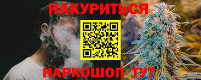 шишки Шебекино