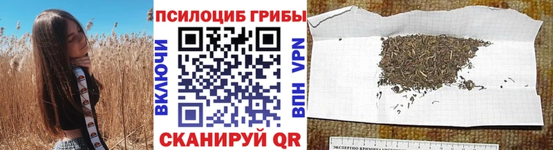 Галлюциногенные грибы прущие грибы  OMG ONION  Бор 