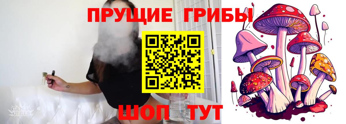 Псилоцибиновые грибы мухоморы Бор